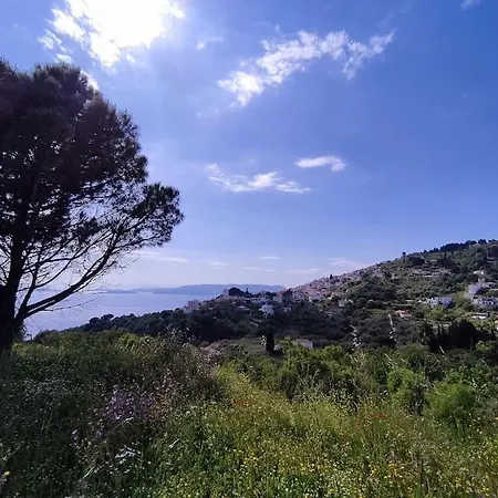 Lejlighed Cozy Mountain View *