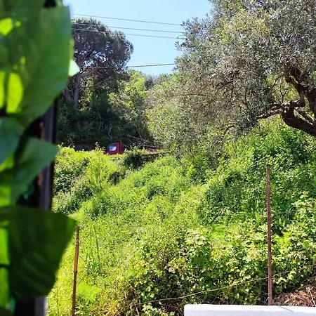 Cozy Mountain View *