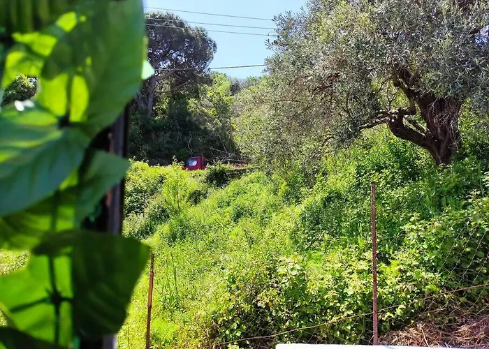 Cozy Mountain View *