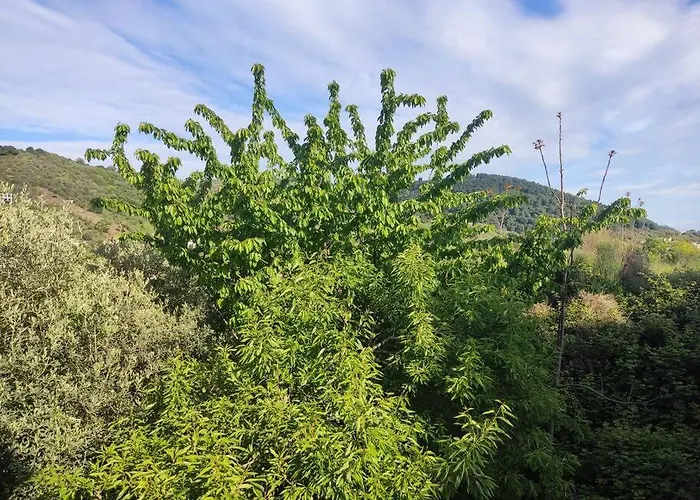 Cozy Mountain View شقة غلوسا